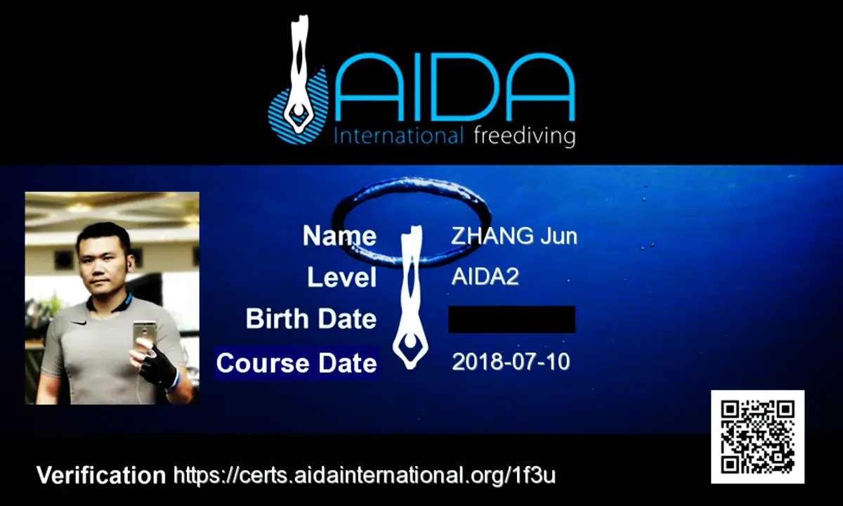 AIDA2 milestone