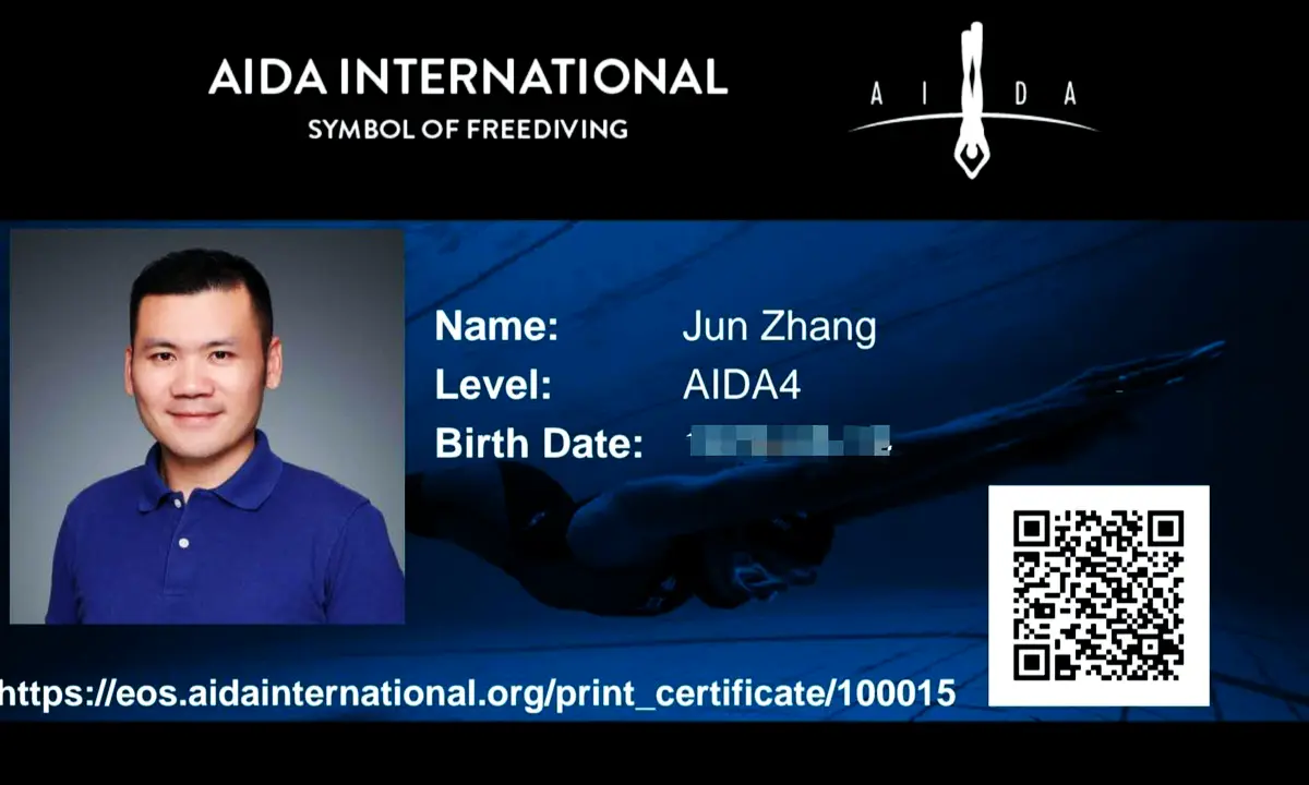 AIDA4 milestone